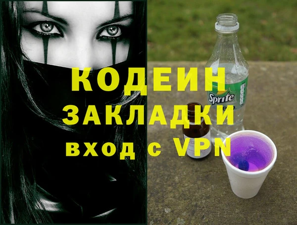 индика Балахна