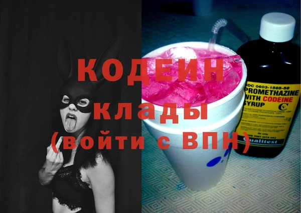 индика Балахна