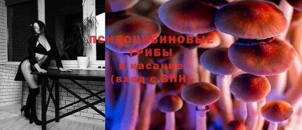 spice Армянск