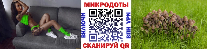 Псилоцибиновые грибы Psilocybe  купить наркотик  Ивдель 